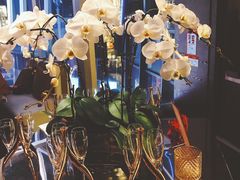 -恰餐厅及酒吧CHAR Bar & Grill(北京三里屯洲际店)