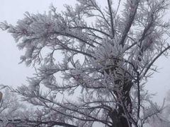 -江南天池