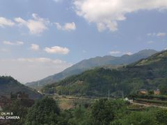 -杨家堂村