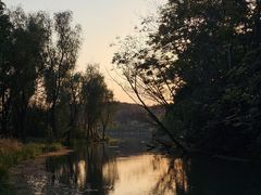 -昆山城市生态森林公园