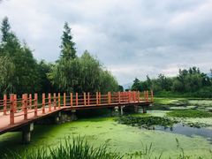 -才村湿地公园