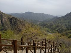 -大岭沟猕猴桃谷风景区