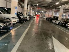 -厦门高崎国际机场T4航站楼-停车场