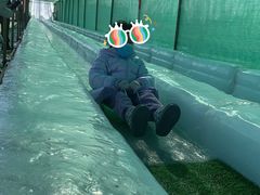 -绿野森林乐园冰雪季