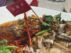 -杨氏青龙虾·羊蝎子(金盛路总店)