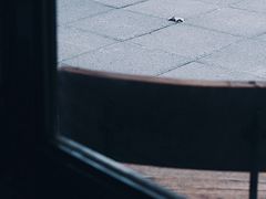 -RUMORS COFFEE ROASTERY鲁马滋咖啡(湖南路店)