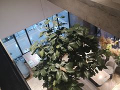 -大树餐厅(红旗街万达店)