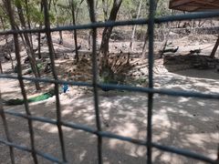 -石家庄市动物园