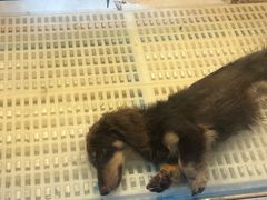 -乐宠宠物店(世纪金源店)