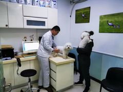 -全心全意连锁动物医院(加州店)