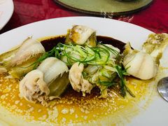 清蒸龙利鱼-沙头涌渔栏海鲜餐厅
