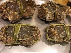 -王宝和酒家(黄浦店)