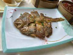 -馨越楼·点心·粤菜(赤坎店)