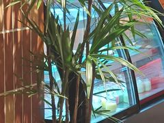 -巴卤社老火锅(财富店)