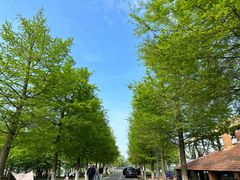 -祝甸砖窑文化馆