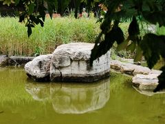 -大望京公园