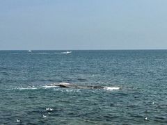 -日照灯塔风景区