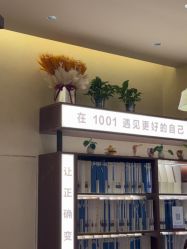 -1001普拉提运动