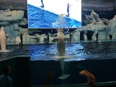 -福州罗源湾海洋世界旅游区