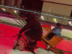 -沈阳奥体冰雪嘉年华