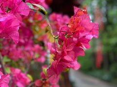 -鼓楼(西湖风景名胜区)