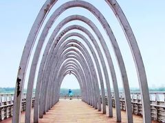 -大兴滨河森林公园