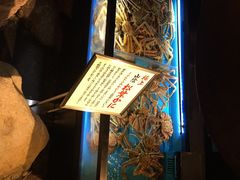 -蟹道乐(網元別館店)