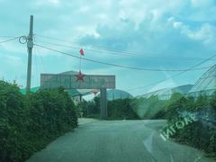 -马陆小张葡萄园农家乐