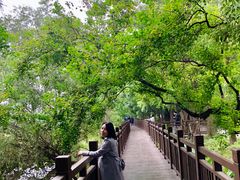 -东湖落雁景区