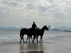 -三亚海棠湾万丽度假酒店