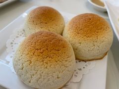雪顶雄峰-利苑酒家(金宝店)