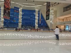 -世纪星滑冰俱乐部(万象城店)