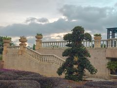 -东莞植物园