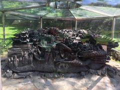 -珠海圆明新园