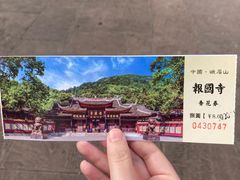 -峨眉山报国寺
