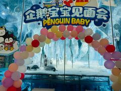 -帝企鹅自助餐厅•儿童岛•真企鹅(长隆企鹅酒店)