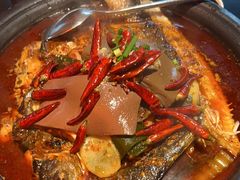 -探鱼·鲜青椒爽麻烤鱼(广州欣荣广场店)