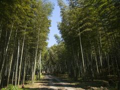 -黄公望隐居地