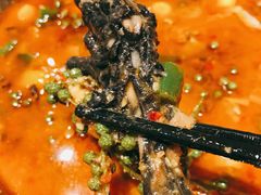 耙耙双掌-老号尤兔头(幸福店)