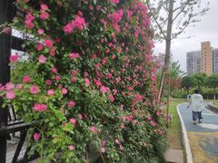 -重庆平顶山公园