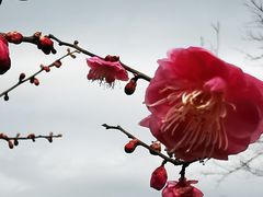 -杭州六谷生态休闲农庄有限公司