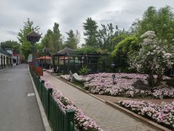 -爱儿美儿童摄影(五路居花园别墅店)