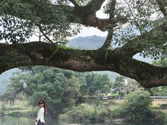 -上坦村