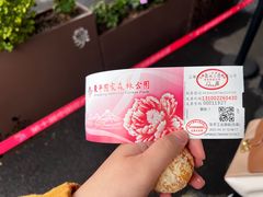-东平国家森林公园