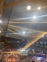 -卡通尼·Safari非洲探索乐园·生日会(金桥国际商业广场店)