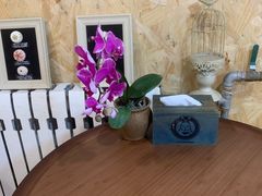 -Rabbit Cafe私房西餐甜点咖啡(栖霞路店)