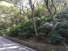 -南京市江宁方山