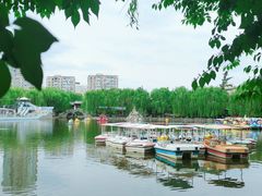 -团结湖公园