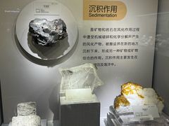 -湖南省地质博物馆