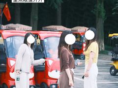 -黄海国家森林公园